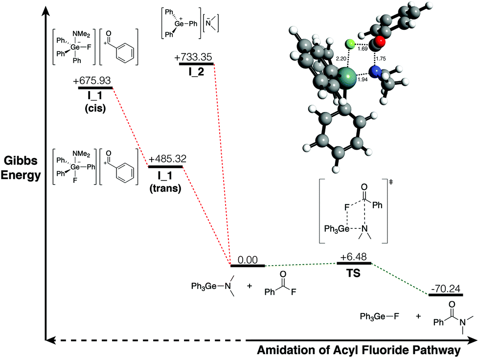 Amidation reaction pathways